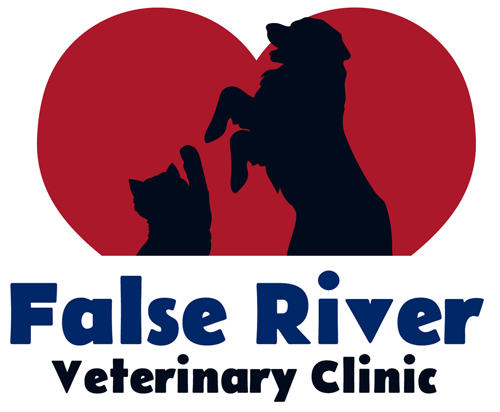 False River Veterinary Clinic